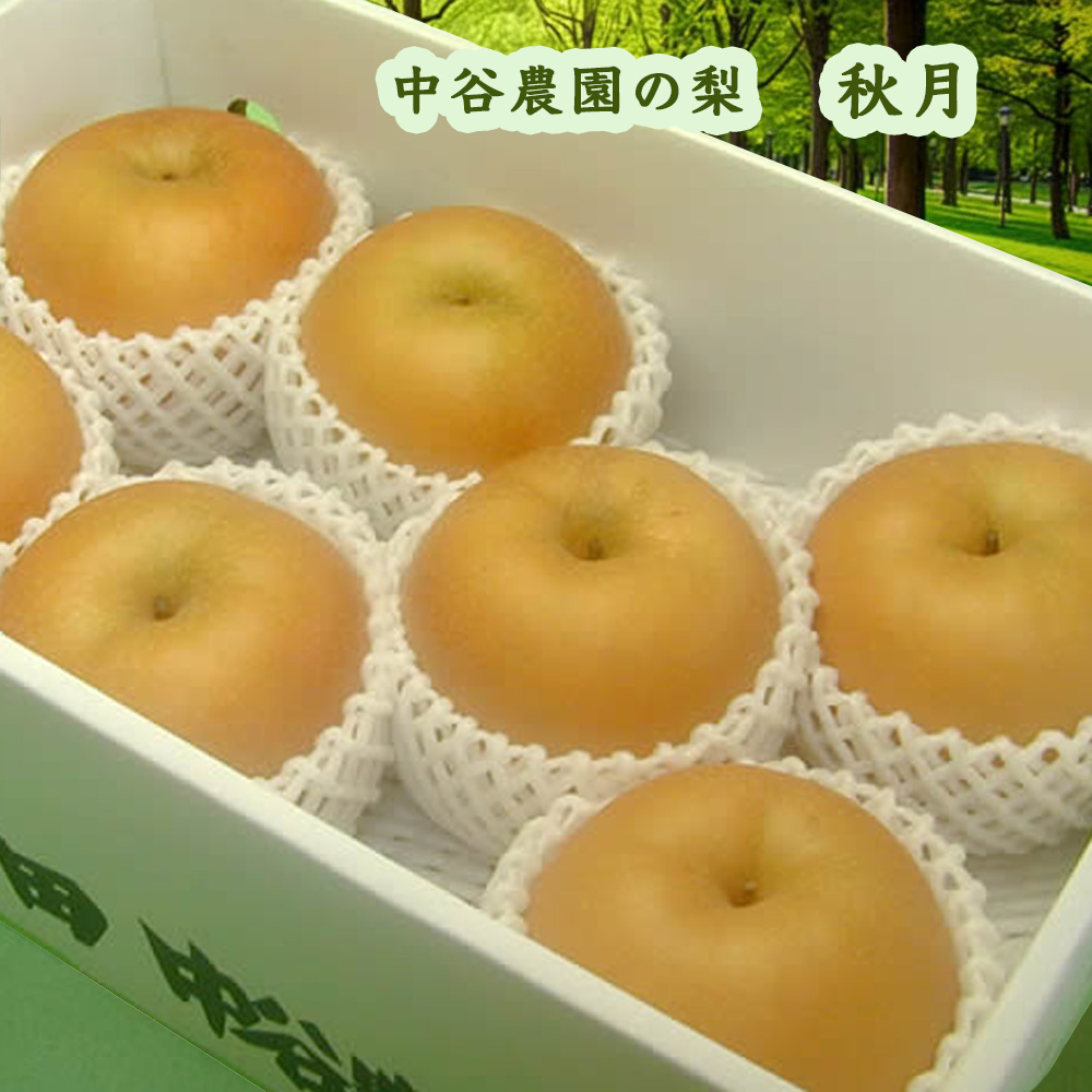 中谷農園の梨秋月