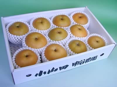 中谷農園の梨　幸水