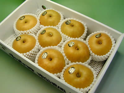 中谷農園の梨　幸水