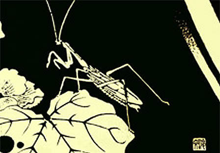 伊藤若冲　黒と金の世界　ランチョンマット