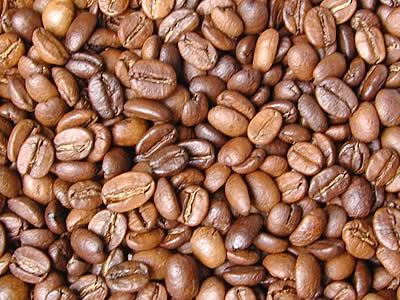 島野珈琲株式会社のコーヒー豆