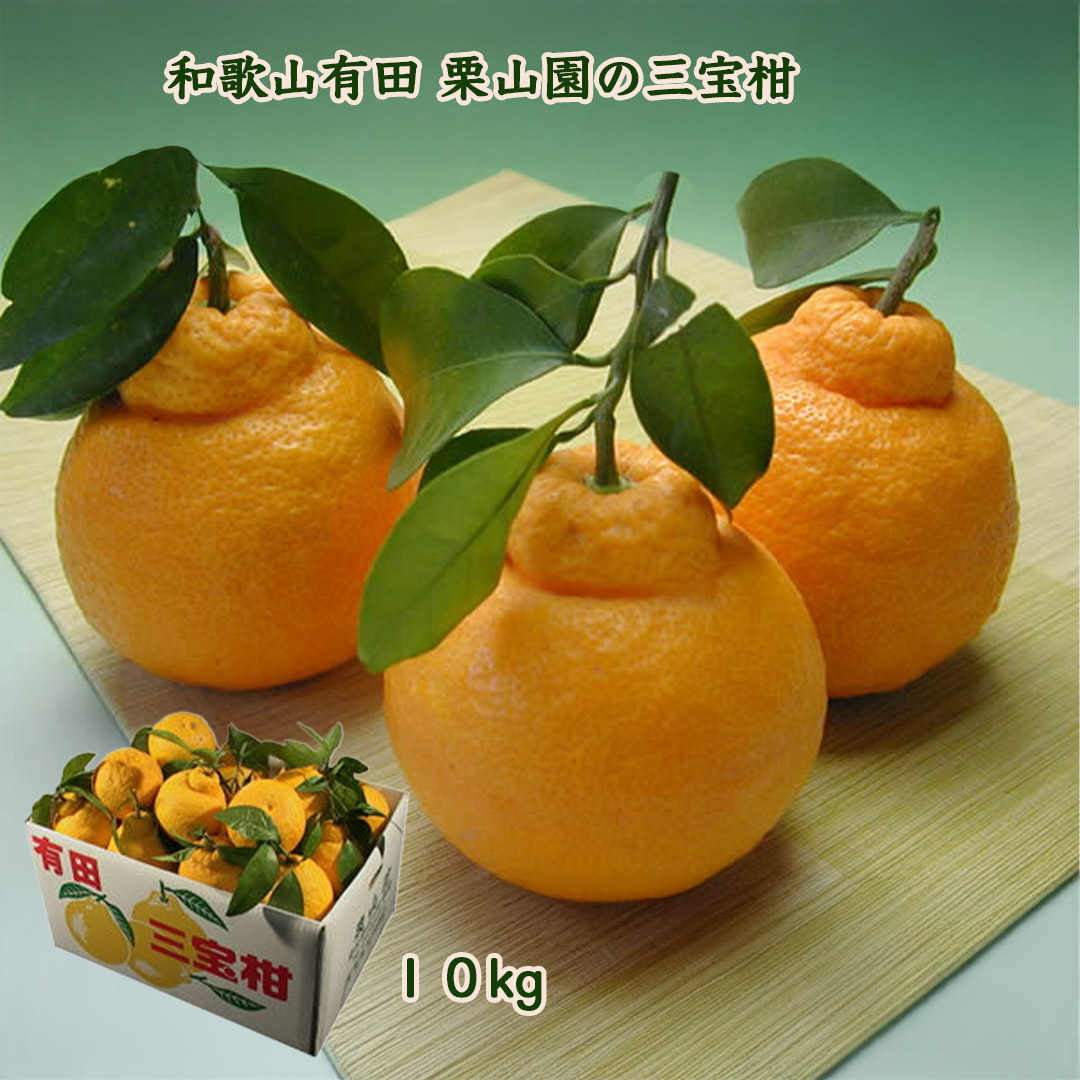 和歌山有田栗山園の三宝柑