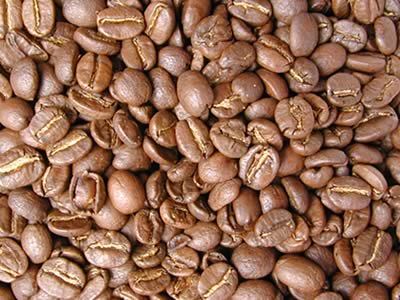 島野珈琲株式会社のコーヒー豆