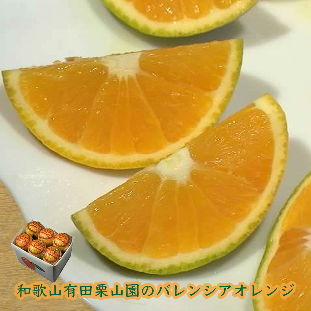 栗山園のバレンシアオレンジ2kg