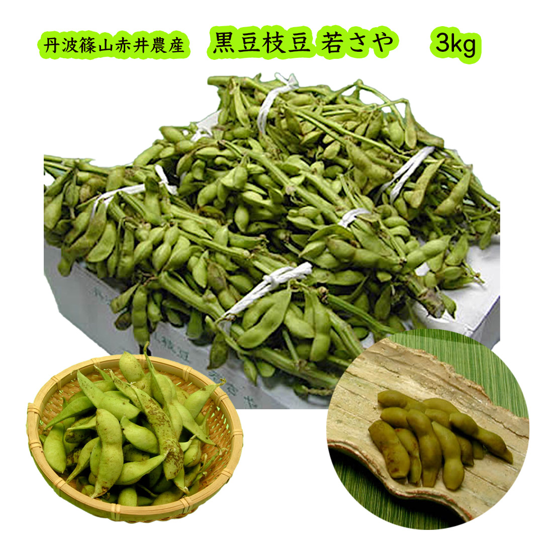 赤井農産の丹波黒大豆枝豆若さや