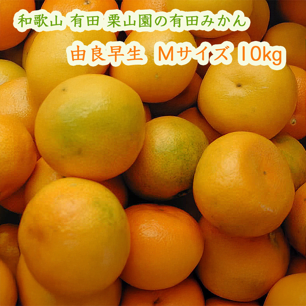 栗山園の由良早生