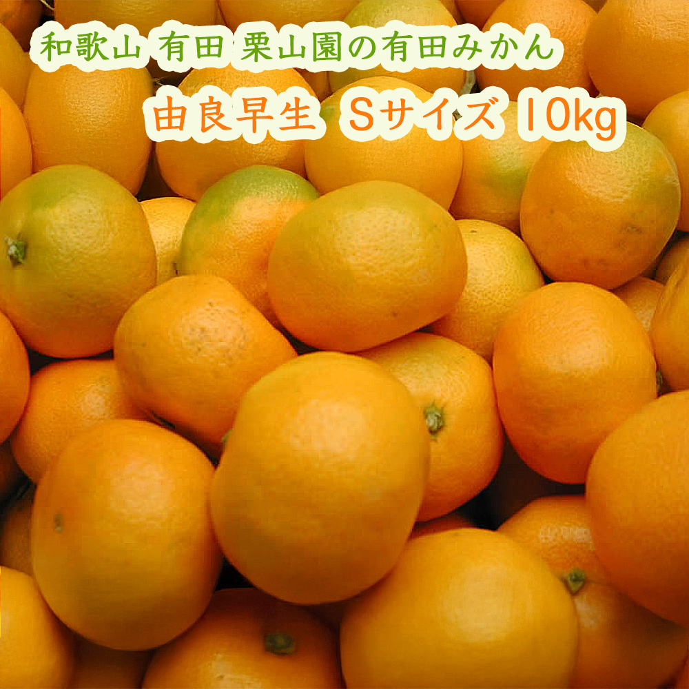 栗山園の由良早生