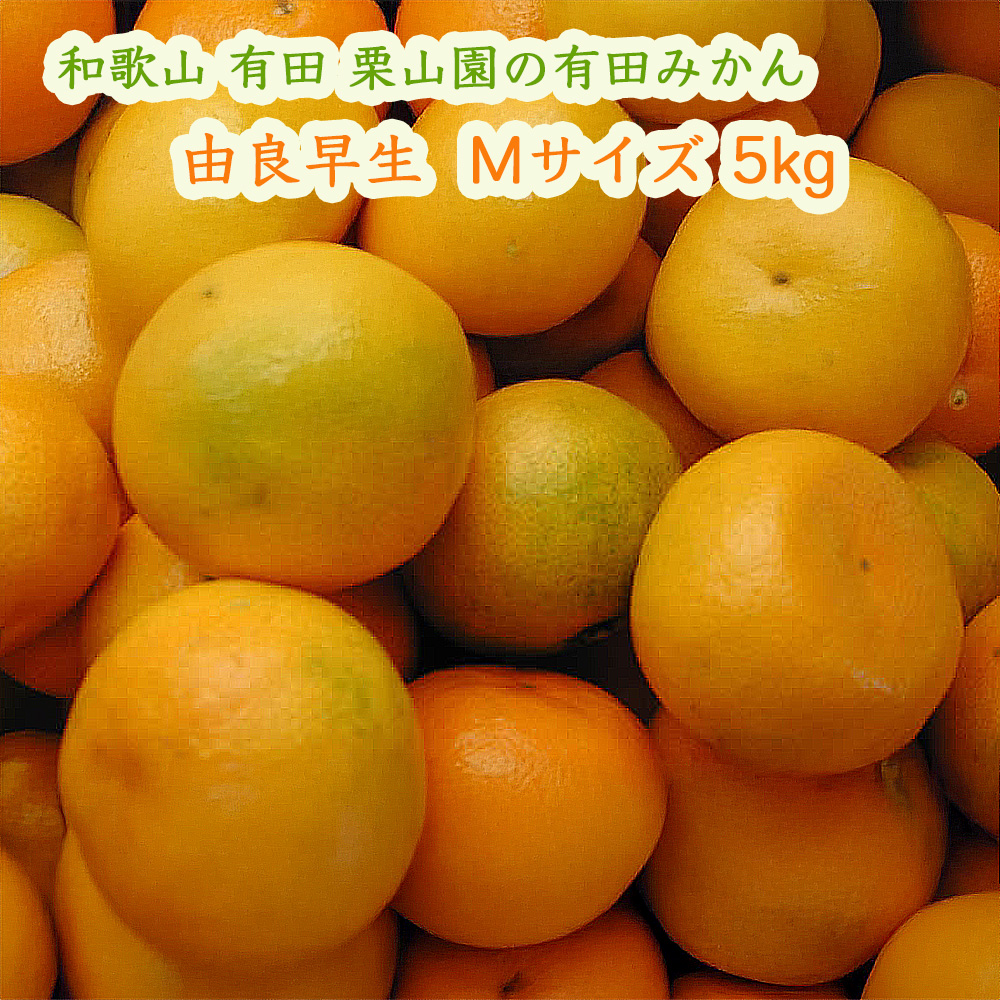 栗山園の由良早生