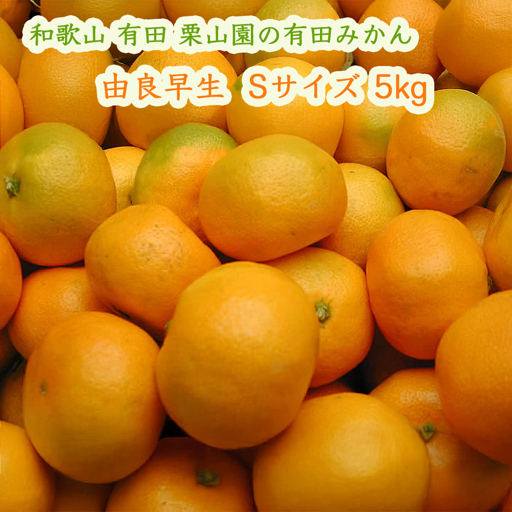 栗山園の由良早生