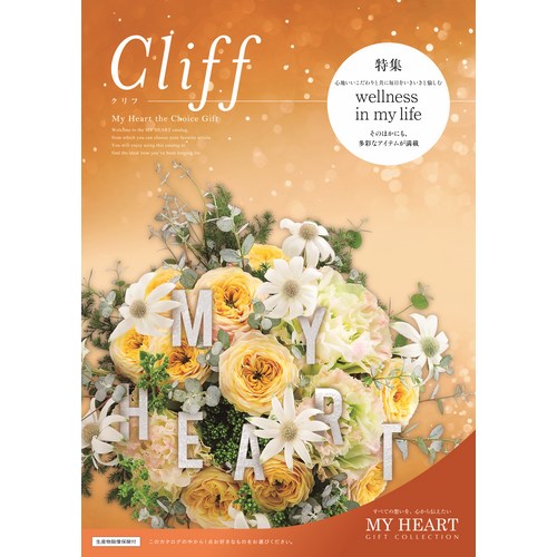 cliff