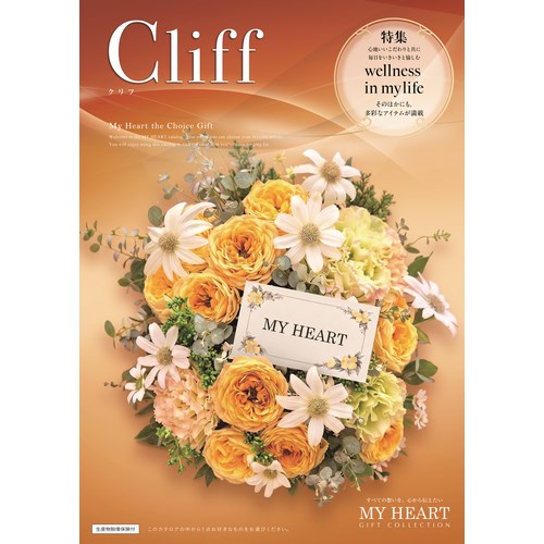 cliff
