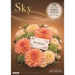 sky