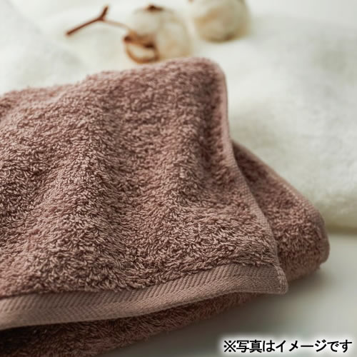 送料無料】アンシャンテオーガニック オーガニックコットンタオル