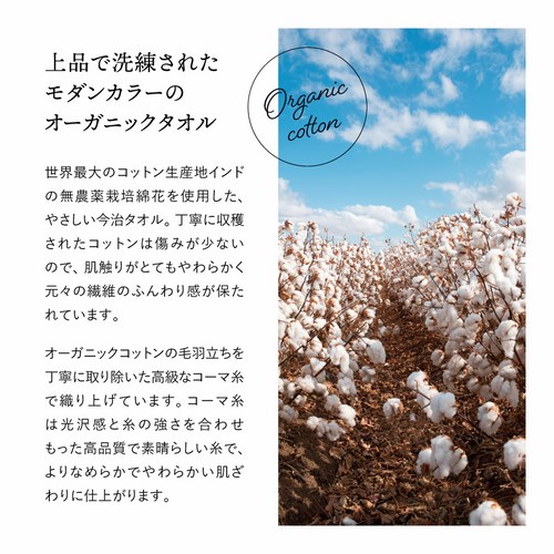 送料無料】マスタードオーガニック 日本製 愛媛今治 オーガニック