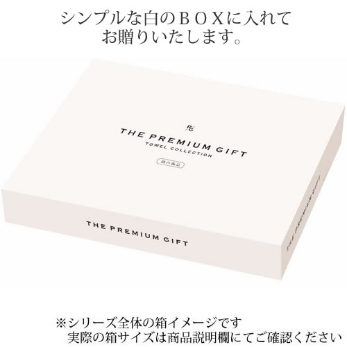 サニーデイ クッカ タオルセット（65720）