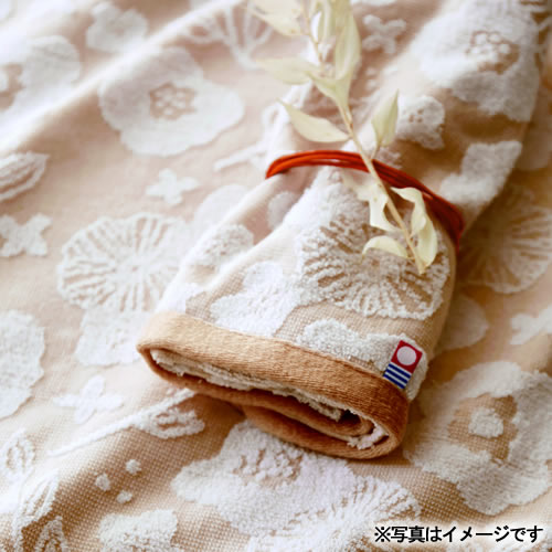 サニーデイ クッカ タオルセット（65720）