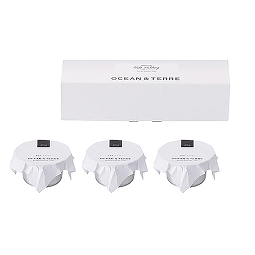 北海道ミルクプリンセット (A425)