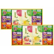 【送料無料】炭酸力の薬用入浴剤セット (2542-06 )