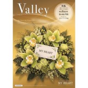 valley