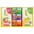 【送料無料】炭酸力の薬用入浴剤セット (2542-02 )