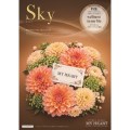 sky