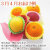 FB-B_34