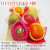 FB-E_1112