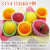FB-E_34
