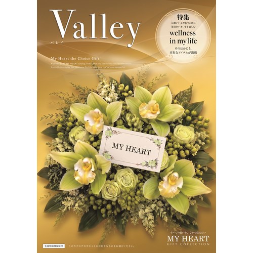 valley