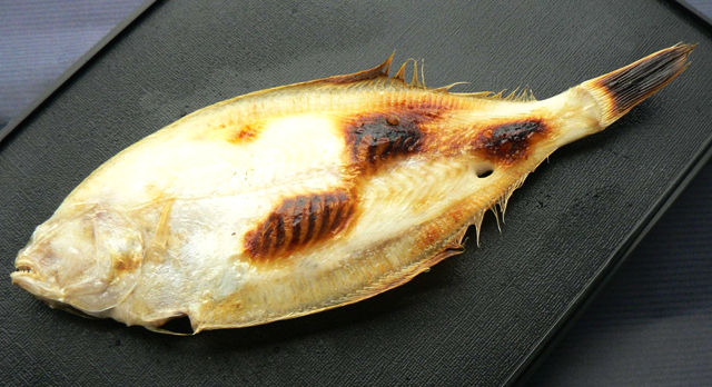 干物 干甲高カレイ 干物専門店 河野乾魚店