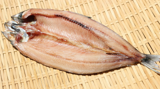 うるめです 開うるめいわし