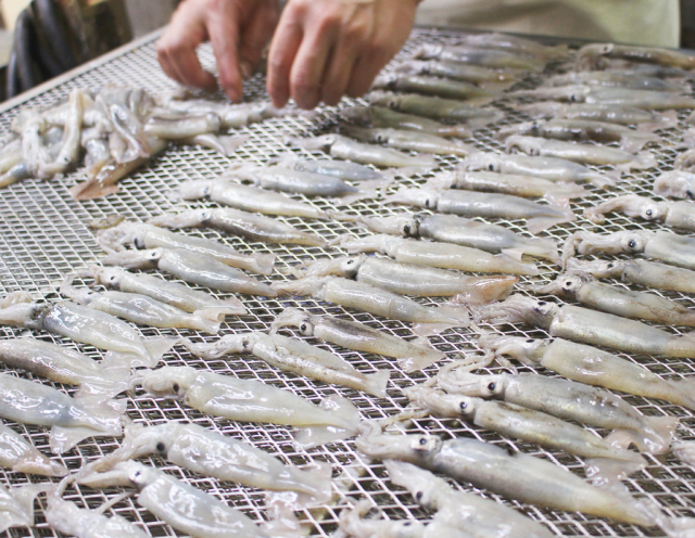 スルメイカ丸干し