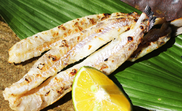 とんころフライ用