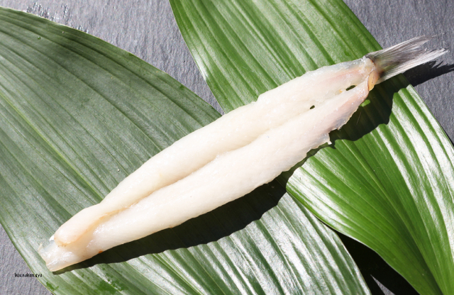 とんころフライ用