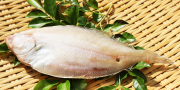 甲高カレイ