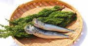 干物真イワシ丸干し（一夜干）大田港水揚げ