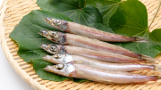 とんころ