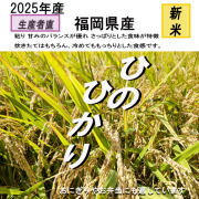 自社米　ひのひかり
