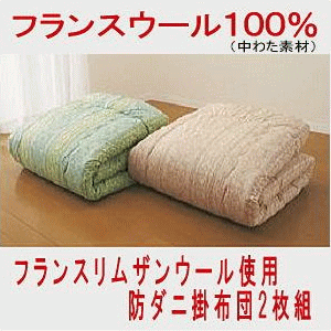 フランスリムザンウール使用防ダニ掛け布団2枚組