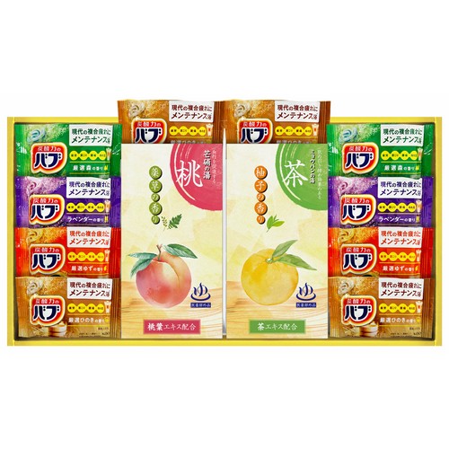 【送料無料】炭酸力の薬用入浴剤セット (2542-05 )