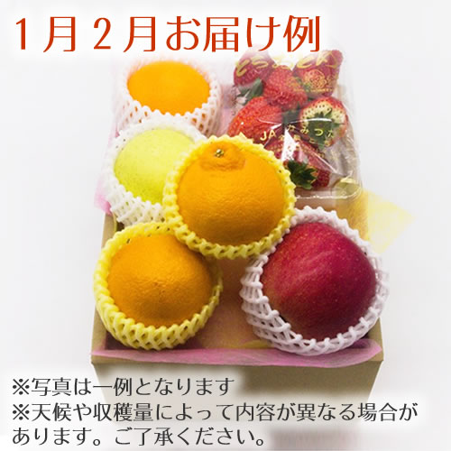 【送料無料 産地直送】野菜ソムリエ厳選！旬を満喫 季節のフルーツボックス Dコース(FB-D)