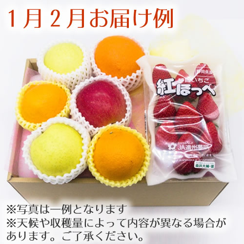 【送料無料 産地直送】野菜ソムリエ厳選！旬を満喫 季節のフルーツボックス Eコース(FB-E)