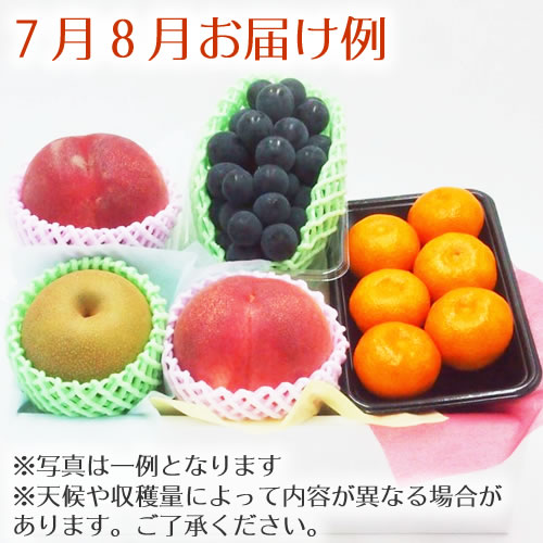 FB-E_78月