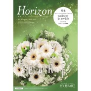 horizon