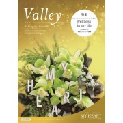 valley