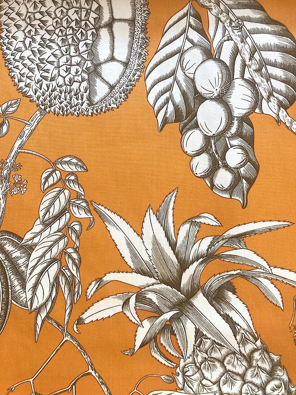 Manuel Canovas2021コレクション”Balangan　M407701 145cmx100cm以上10cm単位でカット販売(海外取寄せ)