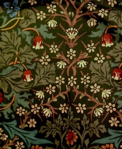 blackthorn1.jpg