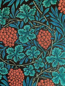 クイーンスクエアコレクションより"Vine226852 137.2cmx50ｃｍ以上10cm単位でカット販売1m以上＋会員登録で5%OFF　(海外取寄せ)