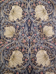 pimpernel494