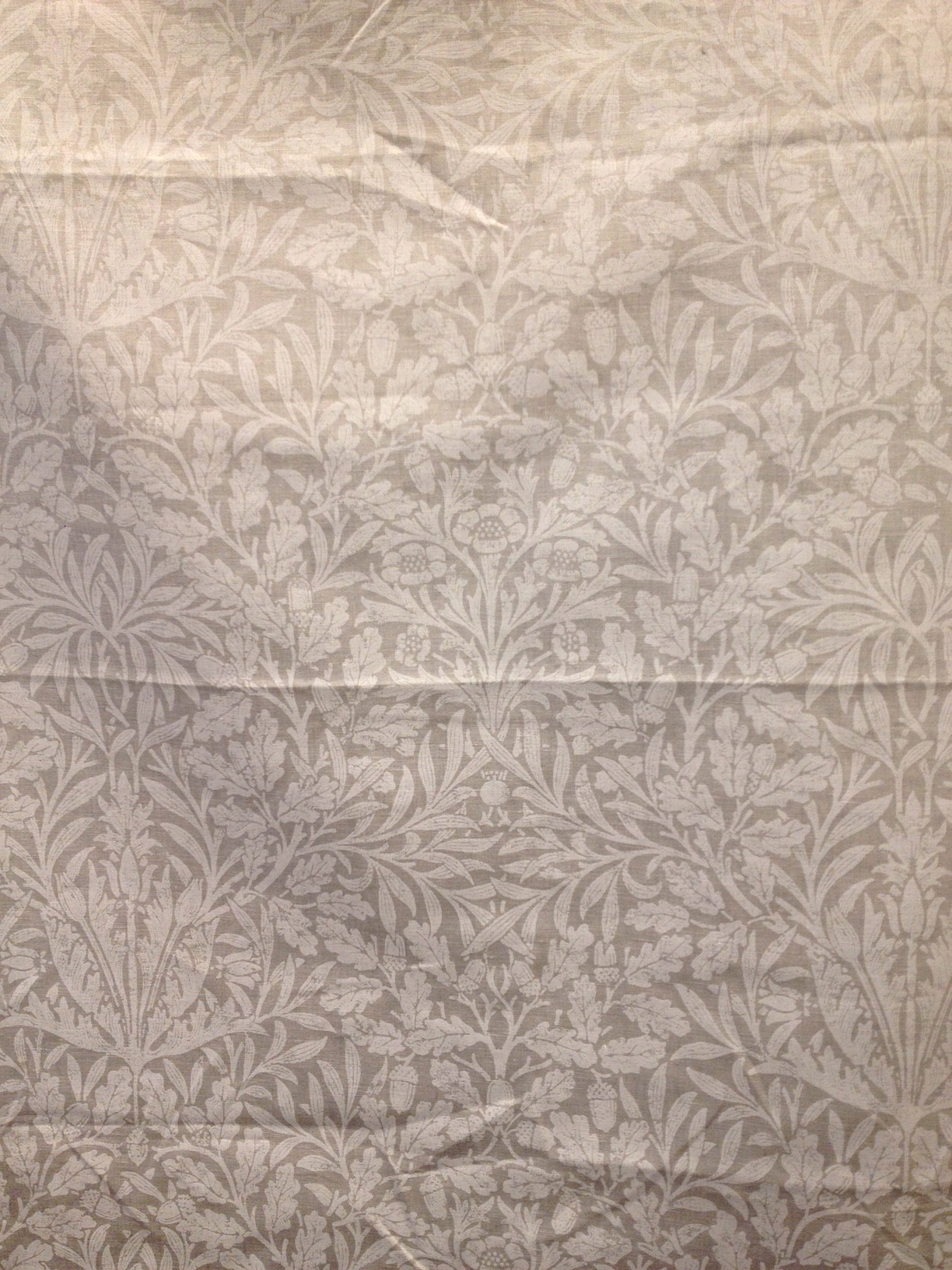 Pure Acorn 236062 140.5cmx50cmカットクロス　会員登録+２枚以上でさらに5%OFF!